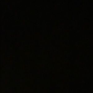 Meet your Posher, Lily